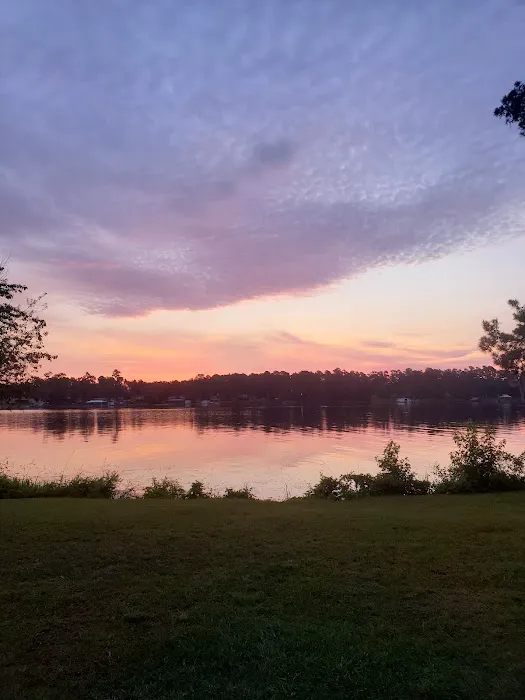 Robert M Cooper Picture 6