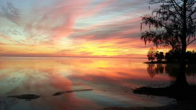 S & S Camp Grounds Picture 17