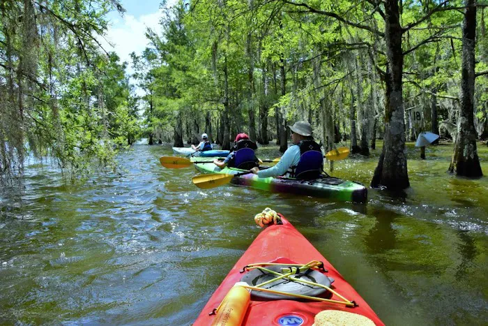 Forestry Department Picture 5