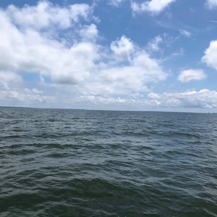 Forestry Department Picture 6