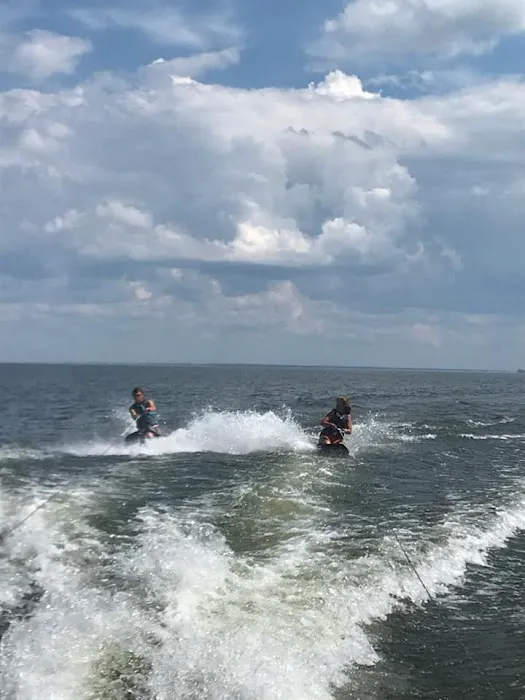 Forestry Department Picture 9