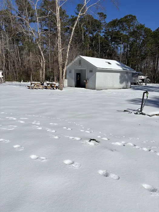 Nearshore 17 Campground Picture 1