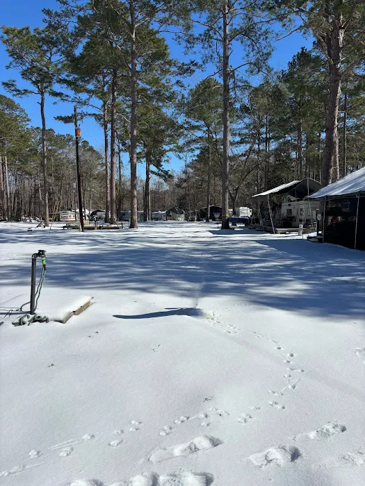 Nearshore 17 Campground Picture 4