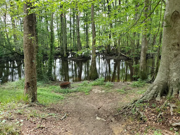 Broxton Bridge Campgrounds Picture 1