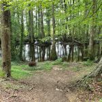 Broxton Bridge Campgrounds