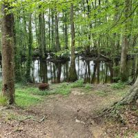 Broxton Bridge Campgrounds ico