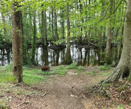 Broxton Bridge Campgrounds