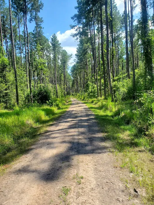 Broxton Bridge Campgrounds Picture 5