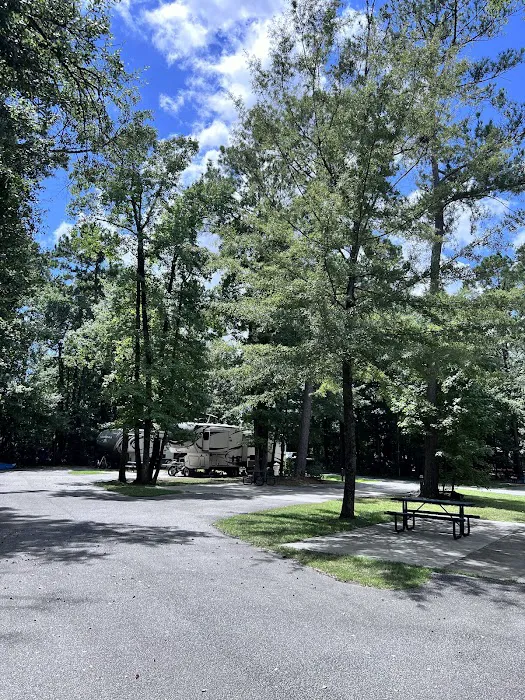 Joint Base Charleston Campsite Picture 3
