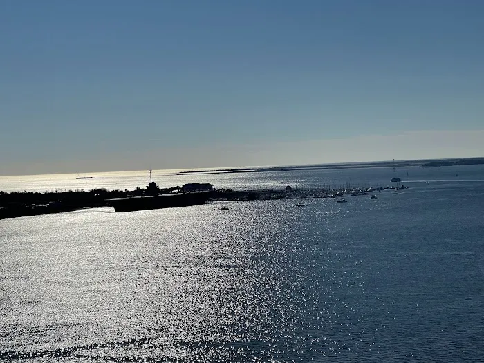 Joint Base Charleston Campsite Picture 7