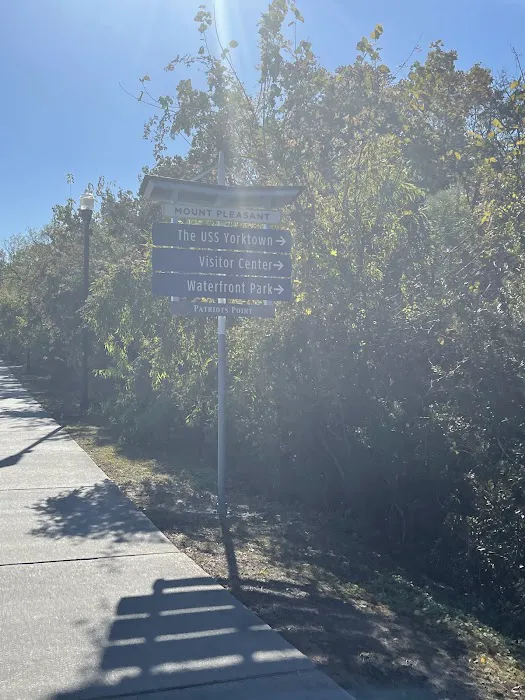 Joint Base Charleston Campsite Picture 10