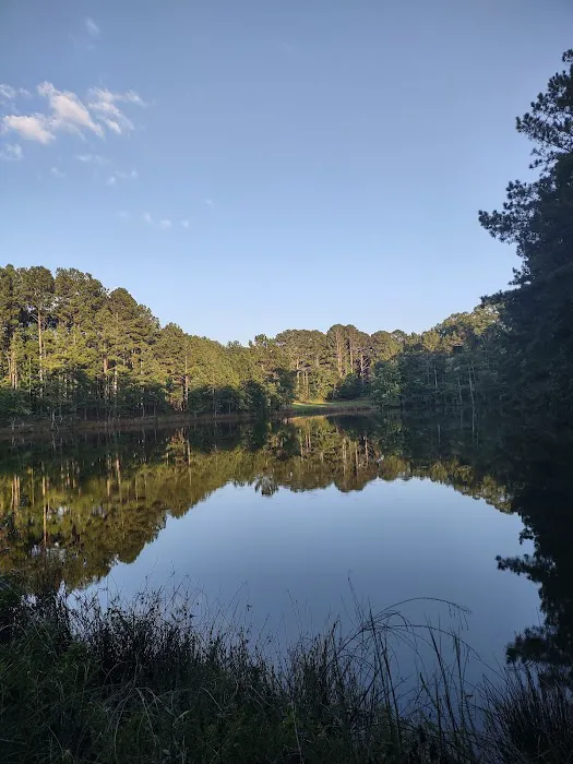 FireFly Farm and Camp Picture 1