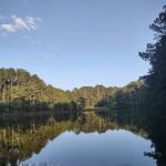 FireFly Farm and Camp