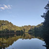 FireFly Farm and Camp ico