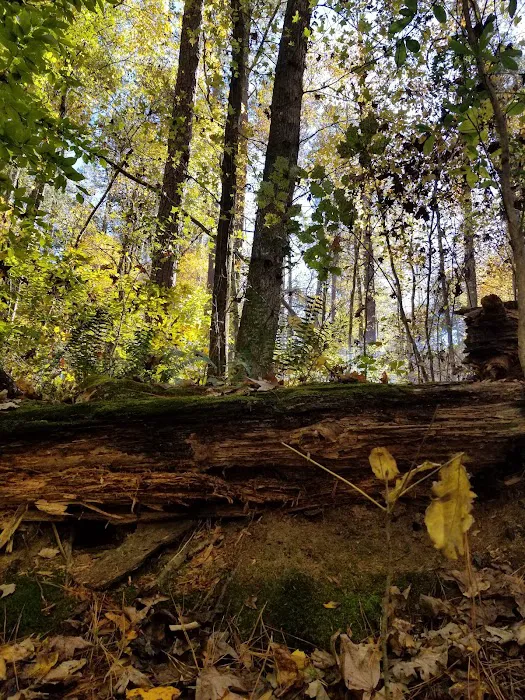 Oconee River Campground Picture 6