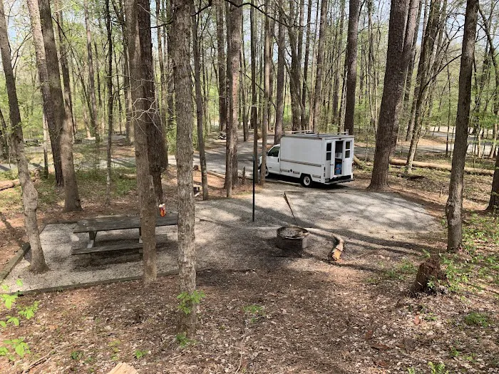 Oconee River Campground Picture 5