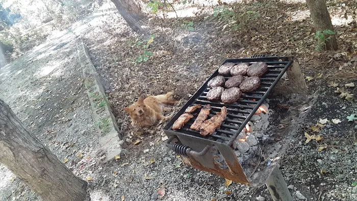 Oconee River Campground Picture 10