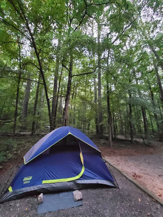 Oconee River Campground Picture 8