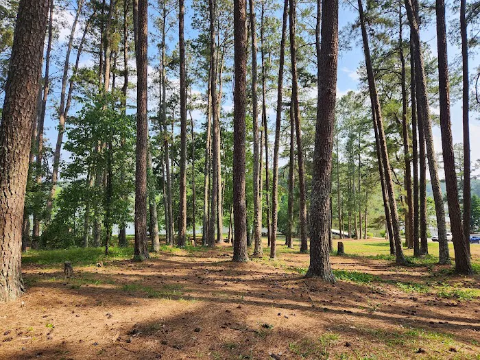 Fort Yargo State Park Campground Picture 4