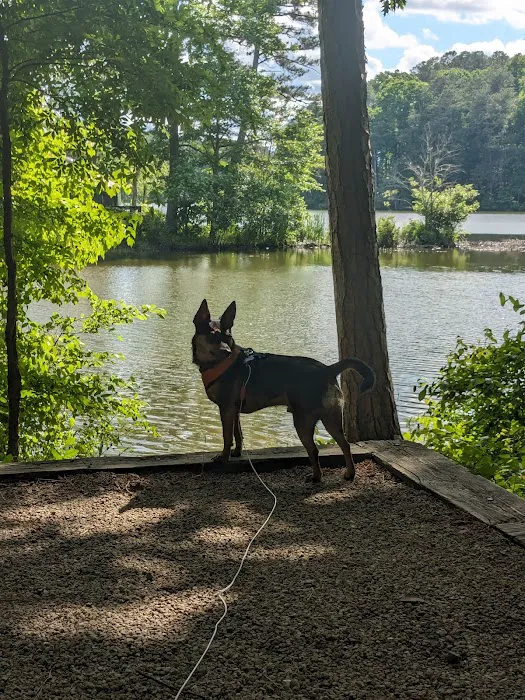 Fort Yargo State Park Campground Picture 6