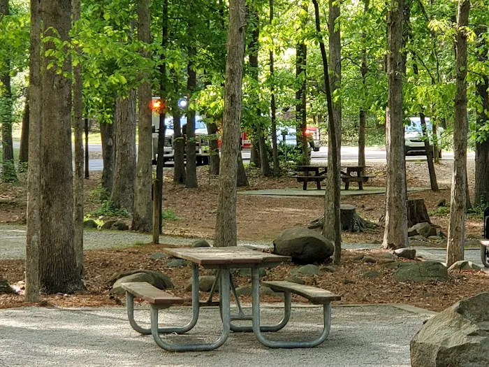 Campground #2, sites 28-40 Picture 2