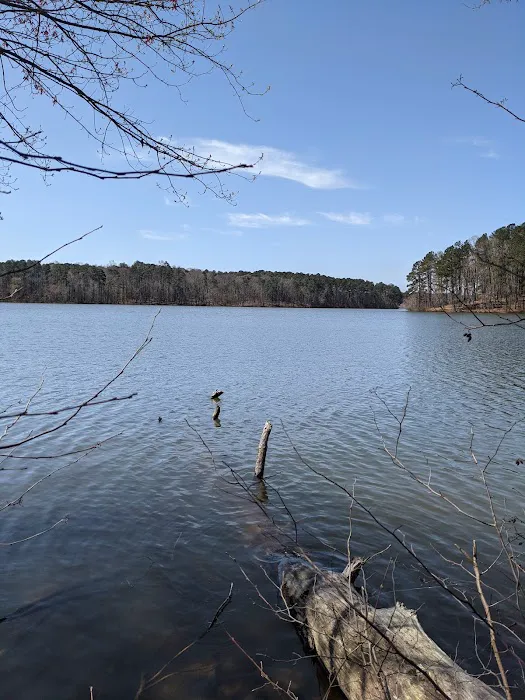Yurt Village Picture 2