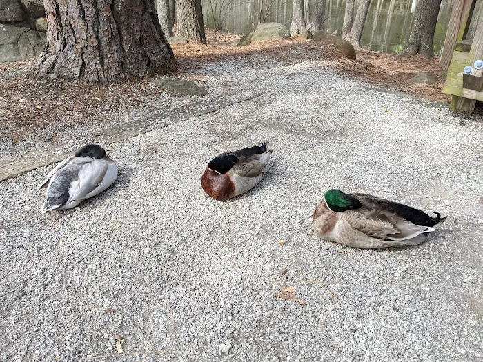 Yurt Village Picture 1
