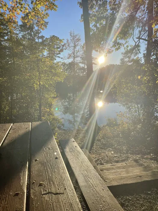 Yurt Village Picture 5