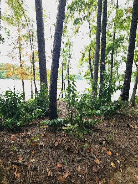 Yurt Village Picture 9