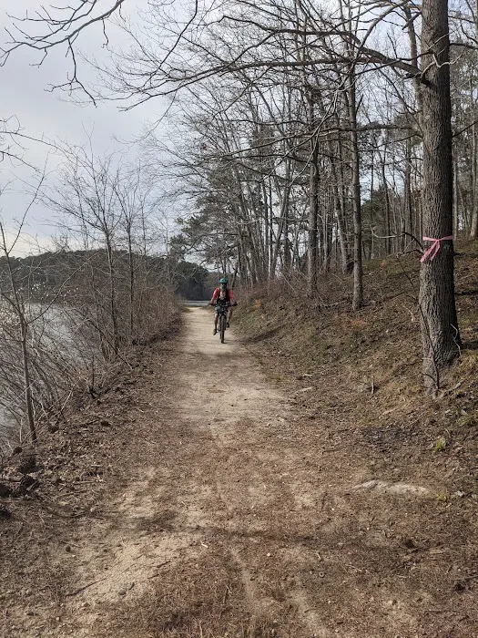 Yurt Village Picture 8