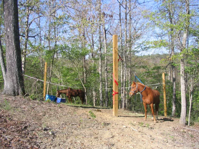 Campground at Grove River Ranch Picture 4