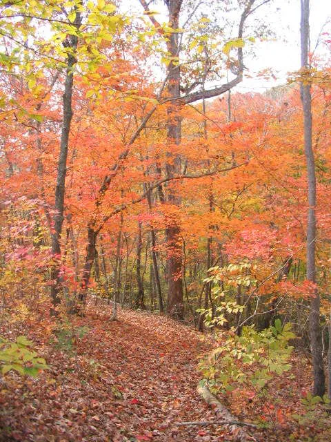 Campground at Grove River Ranch Picture 6