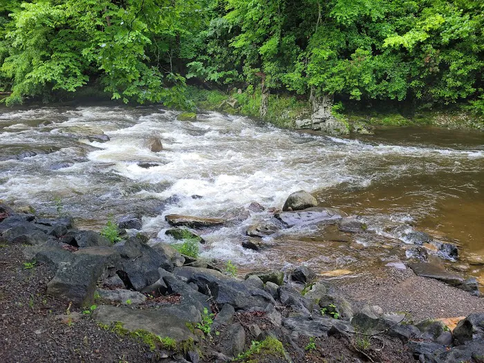 River Valley Campground Picture 3