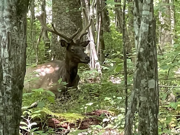 River Valley Campground Picture 10