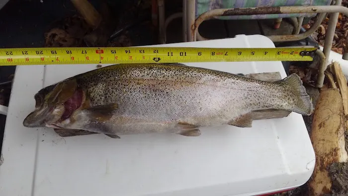 Stoney Campground Picture 5