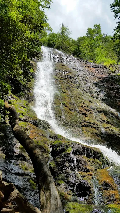 Stoney Campground Picture 6