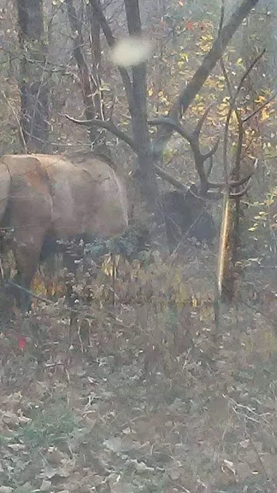 Stoney Campground Picture 9