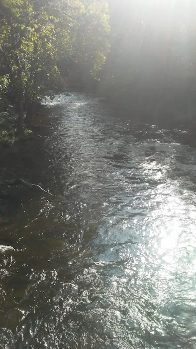 Stoney Campground Picture 10