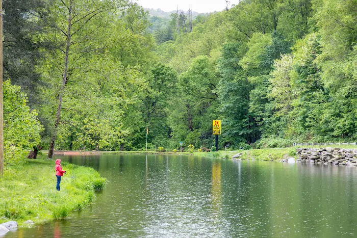 Cherokee / Great Smokies KOA Holiday Picture 5