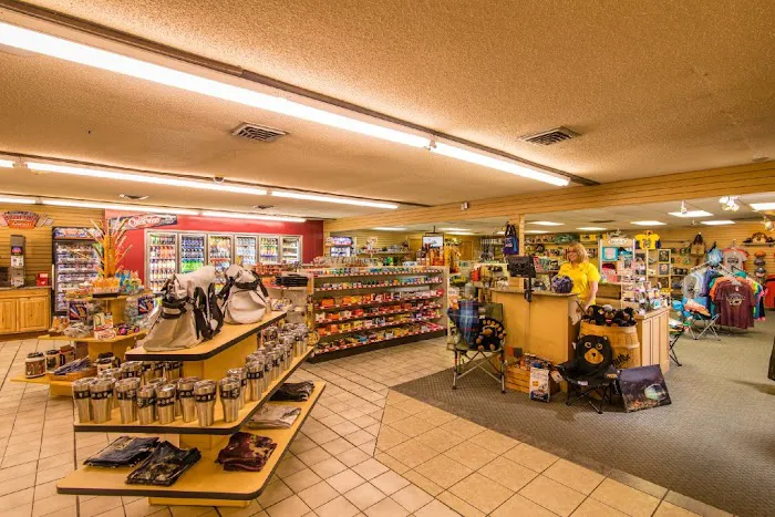 Cherokee / Great Smokies KOA Holiday Picture 9