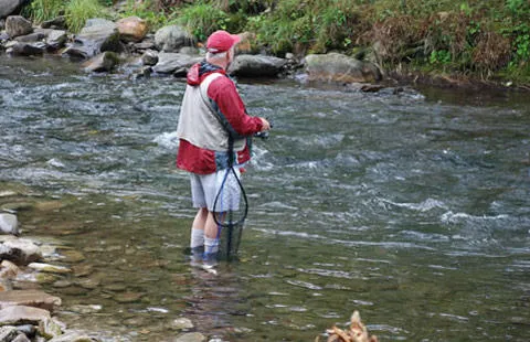 Cherokee / Great Smokies KOA Holiday Picture 8