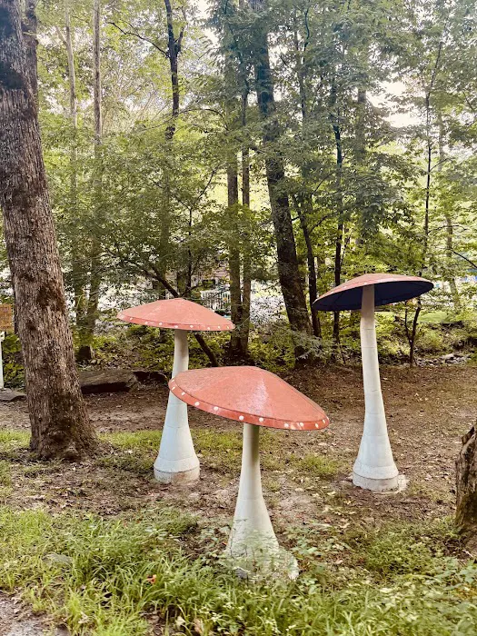 Magical Mountain Resorts, The Enchanted Forest Picture 1