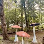 Magical Mountain Resorts, The Enchanted Forest