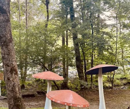 Magical Mountain Resorts, The Enchanted Forest