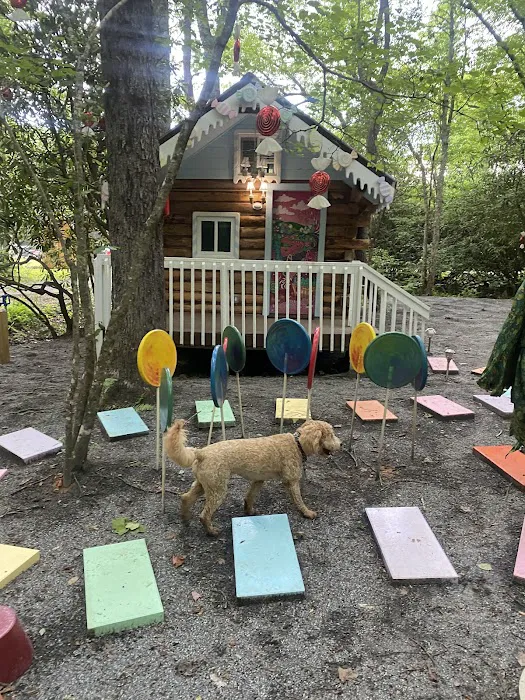 Magical Mountain Resorts, The Enchanted Forest Picture 6