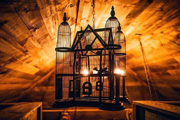 Magical Mountain Resorts, The Enchanted Forest Picture 2