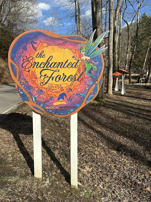 Magical Mountain Resorts, The Enchanted Forest Picture 4