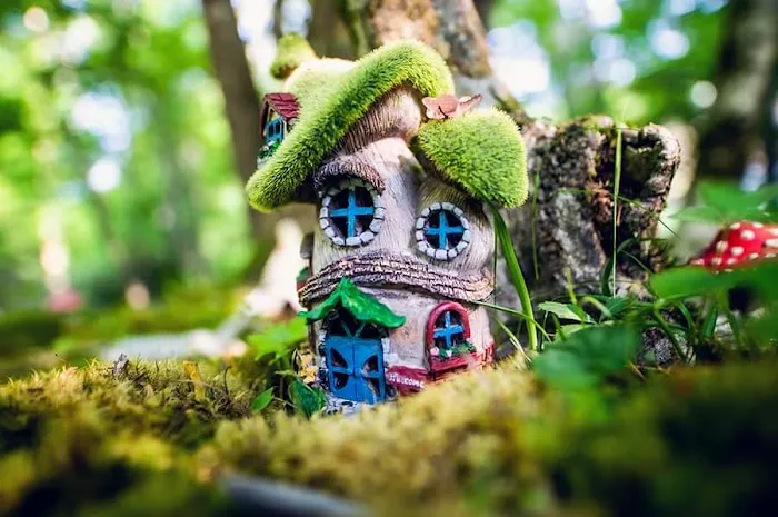 Magical Mountain Resorts, The Enchanted Forest Picture 7