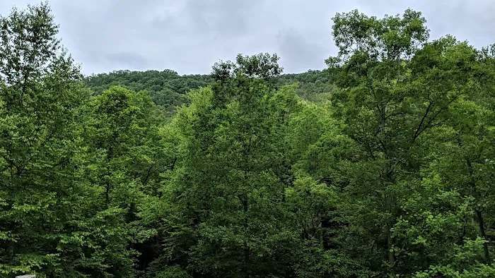 Pounding Mill Creek Estates Picture 1