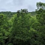 Pounding Mill Creek Estates